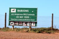 Cape Point/Cape of Good Hope - Oktober 2017