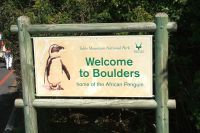 Boulders Beach - Oktober 2017