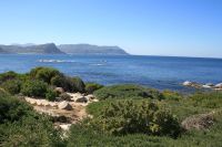Boulders Beach - Oktober 2017