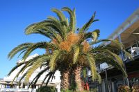 Simon's Town - Oktober 2017