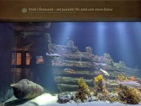 tmb 2025 08 10 06 Malmoehus 03