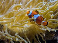 tmb 2025 08 10 08 Malmoehus 05