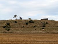 tmb 2025 08 11 33 Kaseberga 15