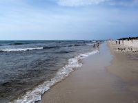 tmb 2025 08 12 05 Sandhammaren 4