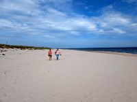 tmb 2025 08 12 06 Sandhammaren 5